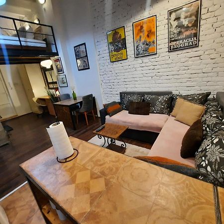 Authentic Belgrade Centre - Split Level Loft With Patio In Courtyard Apartment Екстериор снимка